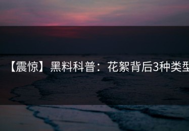 【震惊】黑料科普：花絮背后3种类型