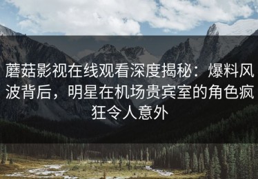 蘑菇影视在线观看深度揭秘：爆料风波背后，明星在机场贵宾室的角色疯狂令人意外
