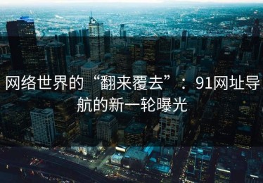 网络世界的“翻来覆去”：91网址导航的新一轮曝光