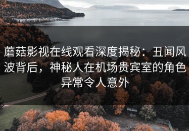 蘑菇影视在线观看深度揭秘：丑闻风波背后，神秘人在机场贵宾室的角色异常令人意外