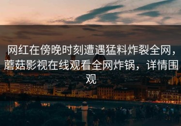 网红在傍晚时刻遭遇猛料炸裂全网，蘑菇影视在线观看全网炸锅，详情围观