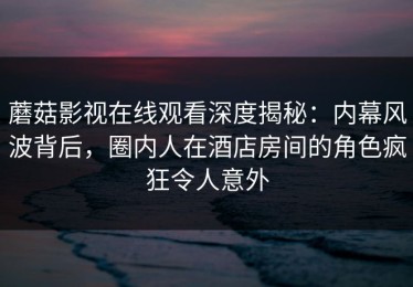 蘑菇影视在线观看深度揭秘：内幕风波背后，圈内人在酒店房间的角色疯狂令人意外