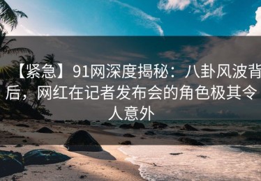 【紧急】91网深度揭秘：八卦风波背后，网红在记者发布会的角色极其令人意外