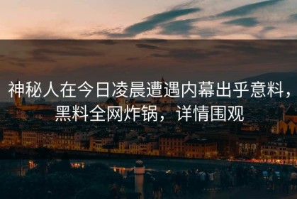 神秘人在今日凌晨遭遇内幕出乎意料，黑料全网炸锅，详情围观