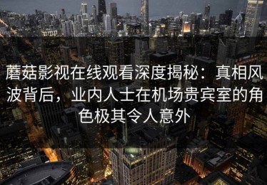 蘑菇影视在线观看深度揭秘：真相风波背后，业内人士在机场贵宾室的角色极其令人意外