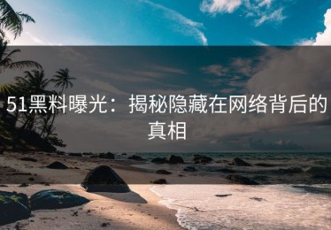 51黑料曝光：揭秘隐藏在网络背后的真相