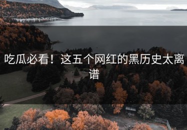 吃瓜必看！这五个网红的黑历史太离谱