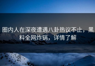圈内人在深夜遭遇八卦热议不止，黑料全网炸锅，详情了解
