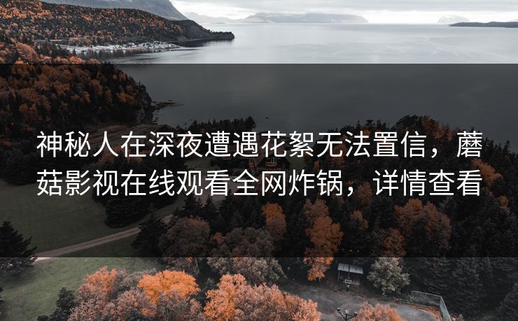 神秘人在深夜遭遇花絮无法置信，蘑菇影视在线观看全网炸锅，详情查看