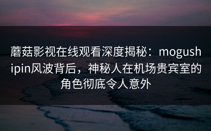 蘑菇影视在线观看深度揭秘：mogushipin风波背后，神秘人在机场贵宾室的角色彻底令人意外
