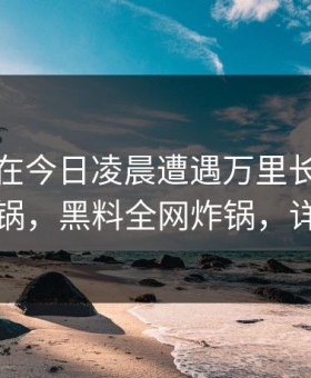 主持人在今日凌晨遭遇万里长征小说网友炸锅，黑料全网炸锅，详情直击