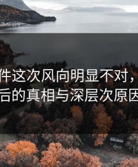 91大事件这次风向明显不对，揭示背后的真相与深层次原因