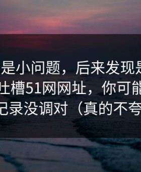 我以为是小问题，后来发现是大坑：别急着吐槽51网网址，你可能只是历史记录没调对（真的不夸张）