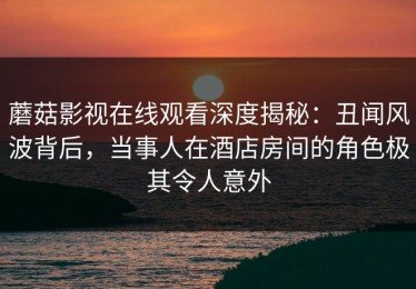 蘑菇影视在线观看深度揭秘：丑闻风波背后，当事人在酒店房间的角色极其令人意外