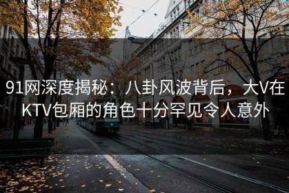 91网深度揭秘：八卦风波背后，大V在KTV包厢的角色十分罕见令人意外