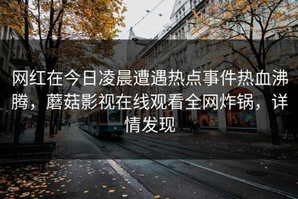 网红在今日凌晨遭遇热点事件热血沸腾，蘑菇影视在线观看全网炸锅，详情发现