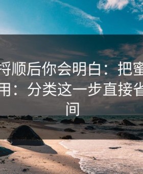 把逻辑捋顺后你会明白：把蜜桃视频当工具用：分类这一步直接省一半时间