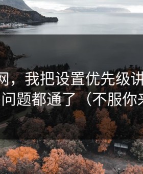 关于91网，我把设置优先级讲清楚后，很多问题都通了（不服你来试）