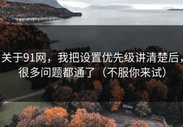 关于91网，我把设置优先级讲清楚后，很多问题都通了（不服你来试）