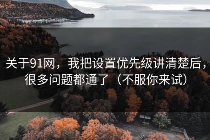 关于91网，我把设置优先级讲清楚后，很多问题都通了（不服你来试）