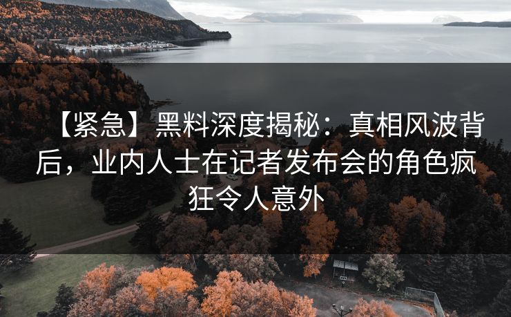 【紧急】黑料深度揭秘：真相风波背后，业内人士在记者发布会的角色疯狂令人意外