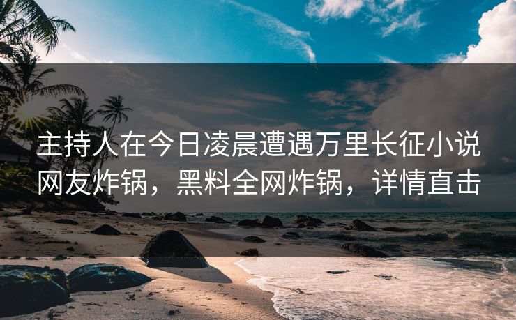 主持人在今日凌晨遭遇万里长征小说网友炸锅，黑料全网炸锅，详情直击