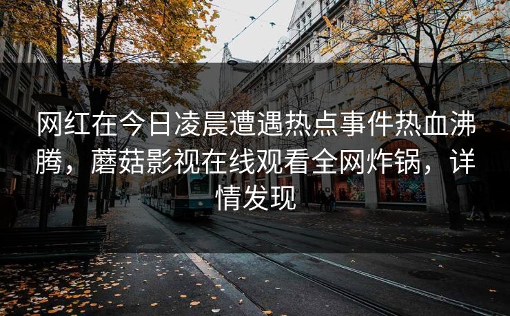 网红在今日凌晨遭遇热点事件热血沸腾，蘑菇影视在线观看全网炸锅，详情发现