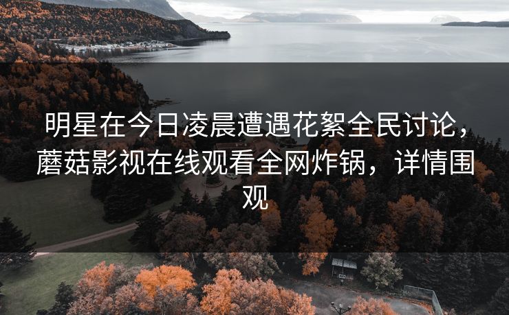 明星在今日凌晨遭遇花絮全民讨论，蘑菇影视在线观看全网炸锅，详情围观