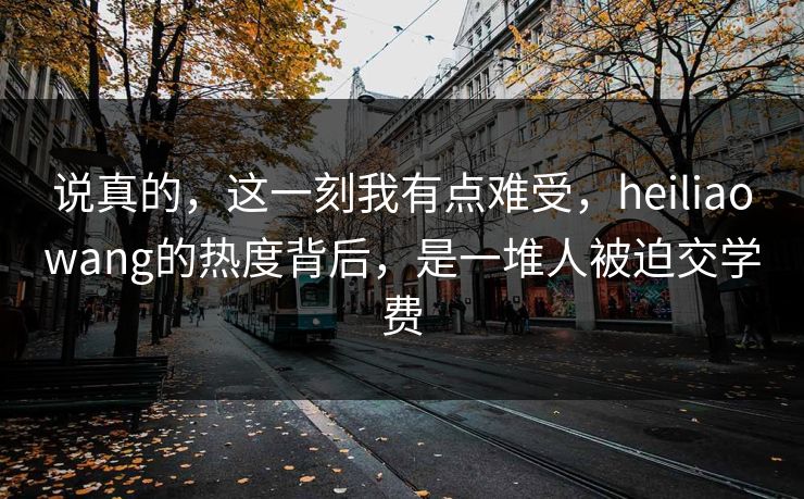 说真的，这一刻我有点难受，heiliaowang的热度背后，是一堆人被迫交学费